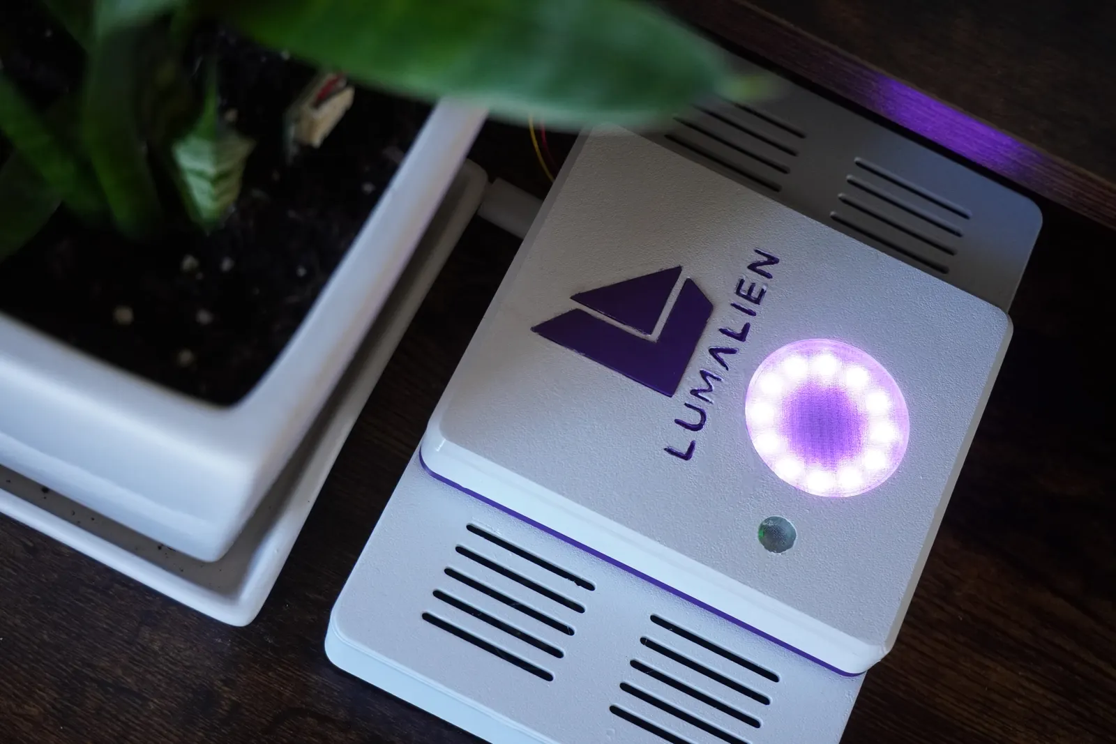 FLORA from above beside a potted plant: a white console with the purple Lumalien mark and a glowing ring of lights